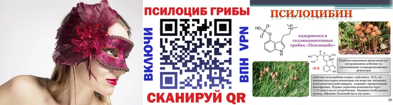 купить наркоту  Курск  Галлюциногенные грибы прущие грибы 