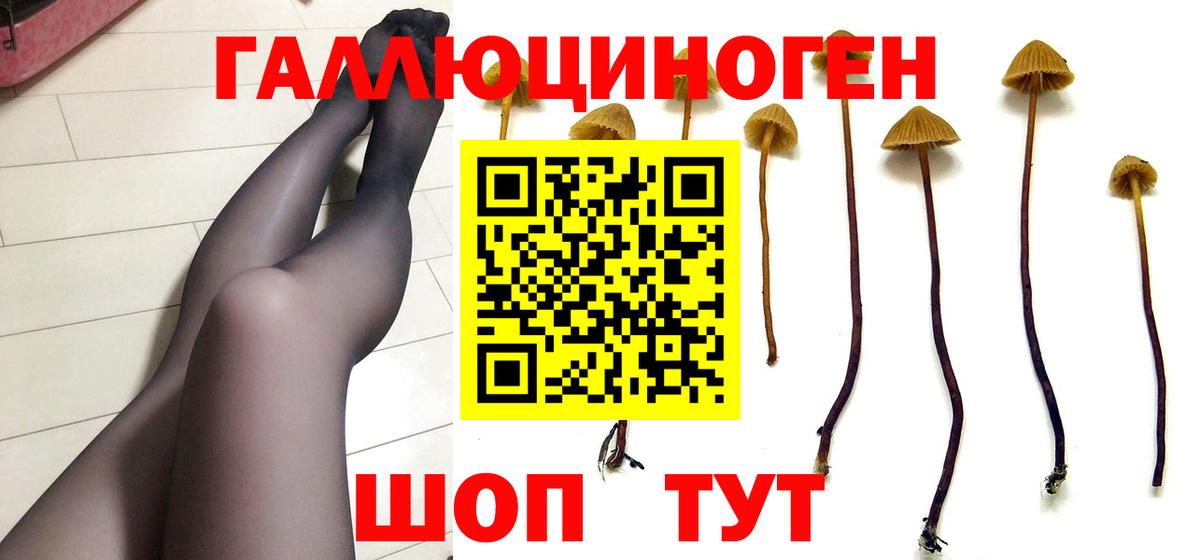 купить закладку  Псилоцибиновые грибы мицелий  Вход с VPN  Курск 